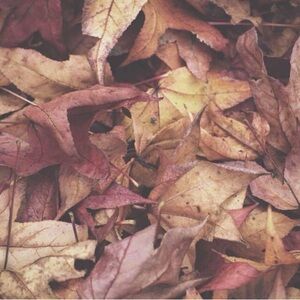 Meet your Posher, Stefanie